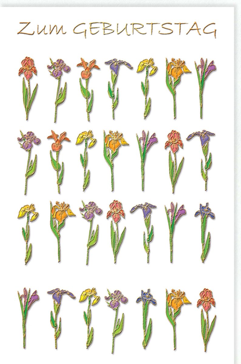 Geburtstagskarte - Glückwunschkarte mit Blumenmotiv, Florale Gratulationskarte für Geburtstag, Festliche Grußkarte mit Umschlag, Happy Birthday Geschenkkarte