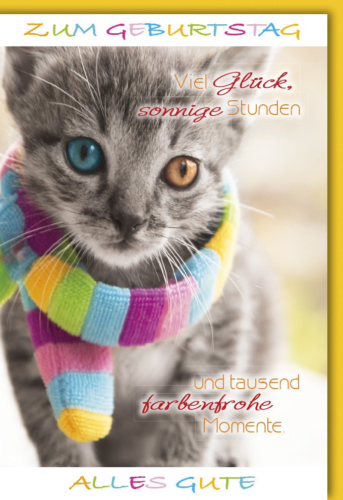 Geburtstagskarte & Glückwunschkarte mit niedlichem Katzen - Motiv - Farbenfrohe Doppelkarte für Geburtstag, Tierliebhaber, bunter Text & liebevolle Gratulation Grußkarte