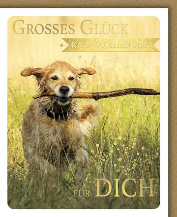 Geburtstagskarte Hund auf Wiese - Glückwunschkarte für Tierliebhaber, Naturmotiv mit Herzlichkeit und Freude, Ideal für Hundeliebhaber