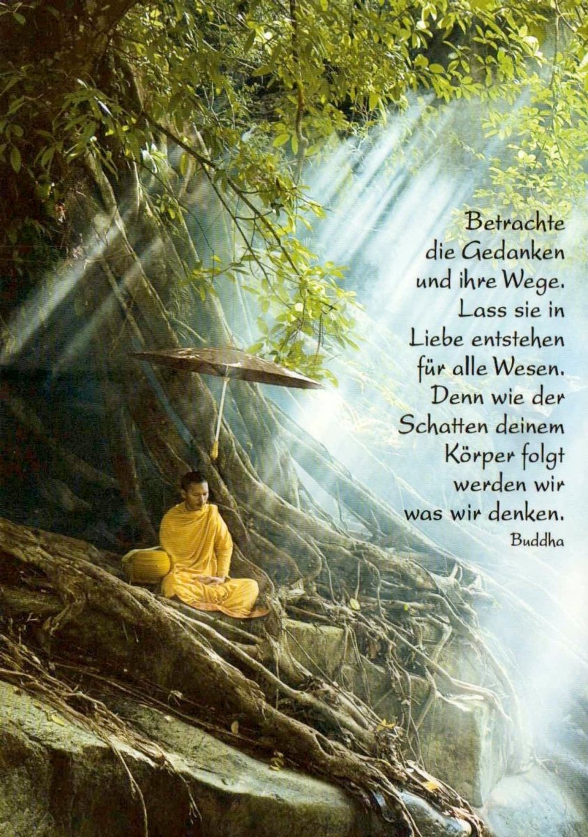 Geburtstagskarte - Inspirierende Buddha Weisheiten & Meditation, Natur Wasserfall Design, Ruhe & Besinnung, Achtsamkeit & Erleuchtung, Zen Spiritualität, Frieden & Innere Stille mit Baum und Sonnenstrahlen Motiv
