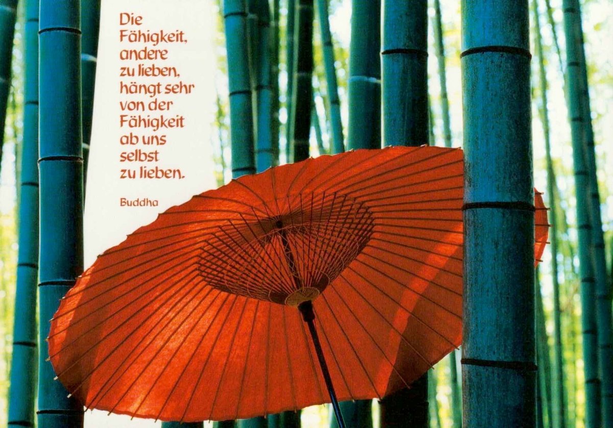 Geburtstagskarte - Inspirierende Buddha Zitate Postkarte mit Liebe & Weisheit, Bambuswald & Roter Schirm Design, Grüne Natur Entspannung & Harmonie, Motivationskarte für Innere Ruhe