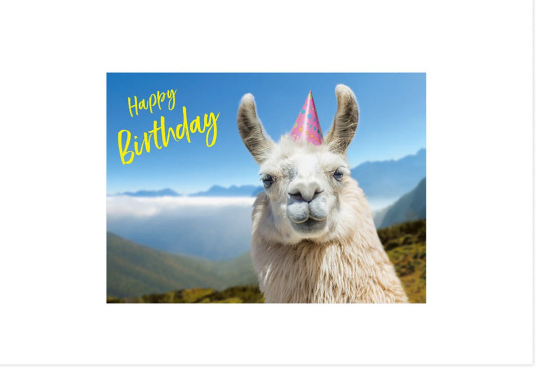 Geburtstagskarte Lustiges Lama mit Partyhut in den Bergen - Humorvolle Grußkarte für Geburtstag, Witzige Tierische Gratulationskarte, Spaß & Freude Happy Birthday Feier Doppelkarte