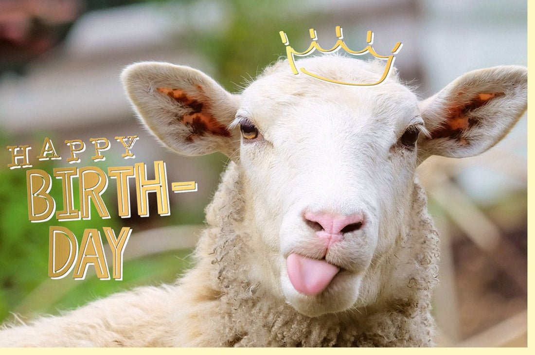 Geburtstagskarte Lustiges Schaf mit Goldfolie - Witzige Glückwunschkarte, Humorvolles Tiermotiv, Partygeschenk
