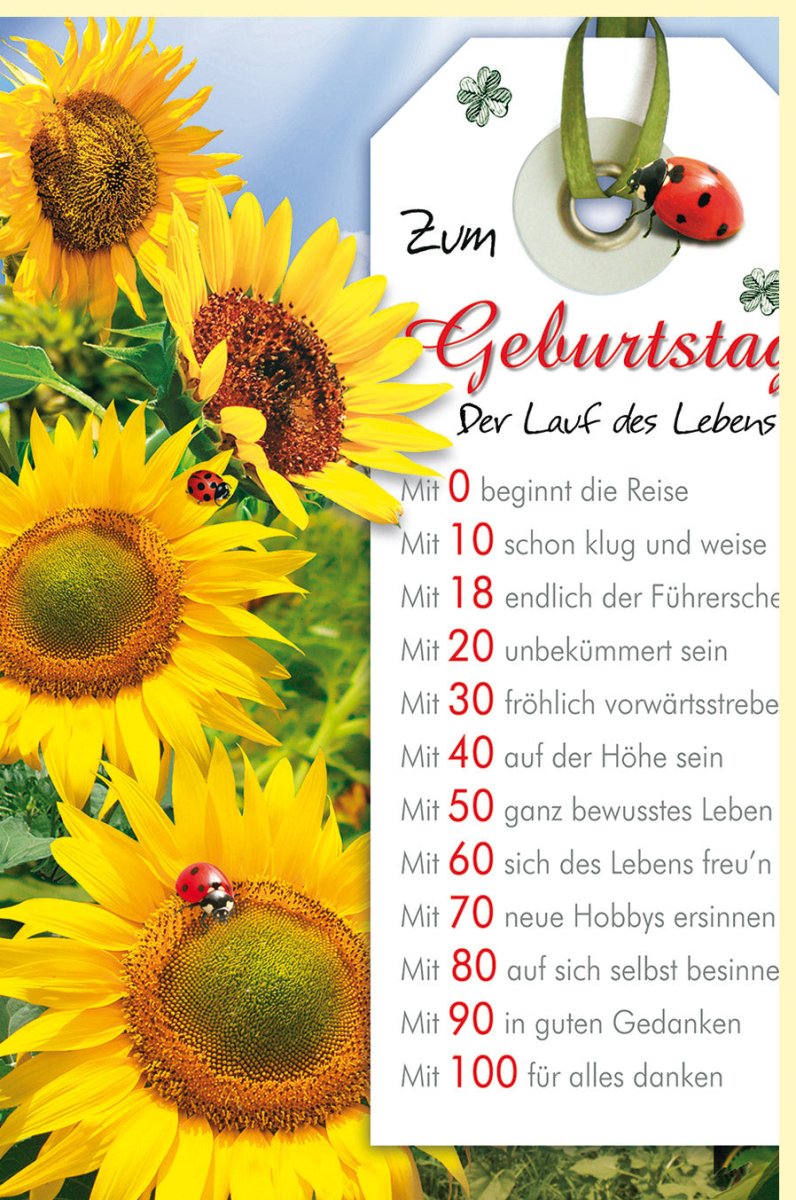 Geburtstagskarte Maxi A4 - Sonnenblumen & Marienkäfer Design, Bunte XXL Glückwünschkarte für Alle Lebensabschnitte, Großformatige Natur Blumen Grußkarte, Fröhliche Feier Anlass Karte