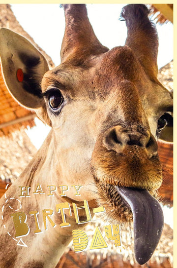Geburtstagskarte mit Giraffe in Goldfolie – Lustige & Witzige Tierkarte für Erwachsene und Kinder, Humorvolle Glückwunschkarte, Grußkarte zum Geburtstag in Gelb & Braun – Doppelkarte mit Umschlag