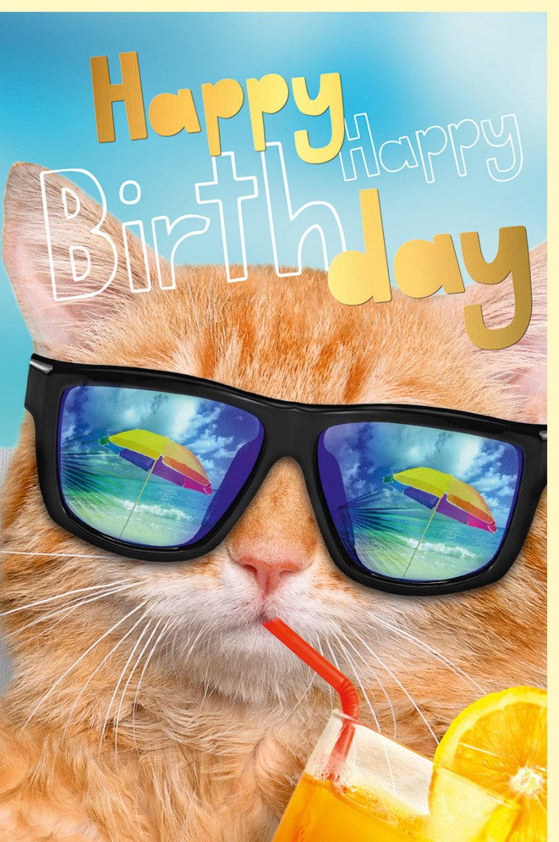 Geburtstagskarte mit Katze in Sonnenbrille am Strand - Bunte Glückwunschkarte für Tierliebhaber, Katzenfreunde & Sommerfeiern - Lustige Doppelkarte mit Tiermotiv in Orange, Blau & Gelb - Ideal für Kinder & Erwachsene