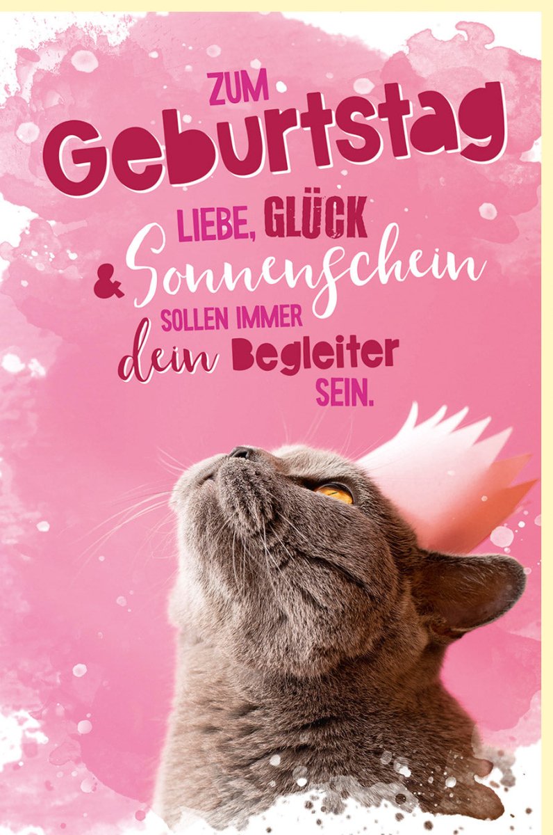 Geburtstagskarte mit Katzenmotiv – Rosa & Pink, Liebevoller Spruch für Tierliebhaber, Glückwunschkarte mit Herzlichkeit und Gemütlichkeit, Sonnenschein - Gratulation für Katzenfreunde, Jubiläumsfeier - Karte