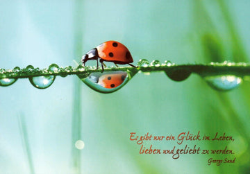 Geburtstagskarte mit Marienkäfer - Motiv: "Glück in der Natur" - Makroaufnahme von Wassertropfen auf Grün, Inspirierendes Zitat von George Sand, Postkarte mit Spruchbotschaft für Liebe, Entspannung & Lebensfreude