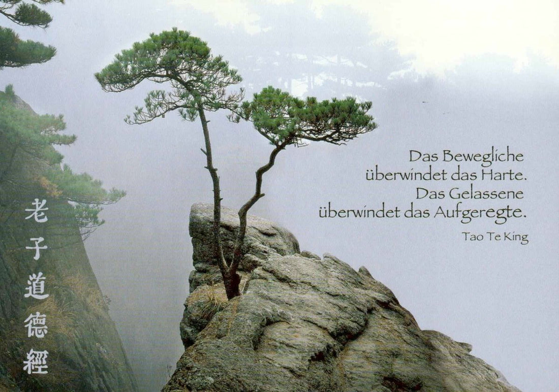 Geburtstagskarte mit Tao Te King Zitat - Inspirierende Natur Postkarte, Weisheit Baum & Felsen im Nebel, Asiatische Schriftzeichen, Zen Philosophie, Mystische Landschaft für Entspannung und Ruhe