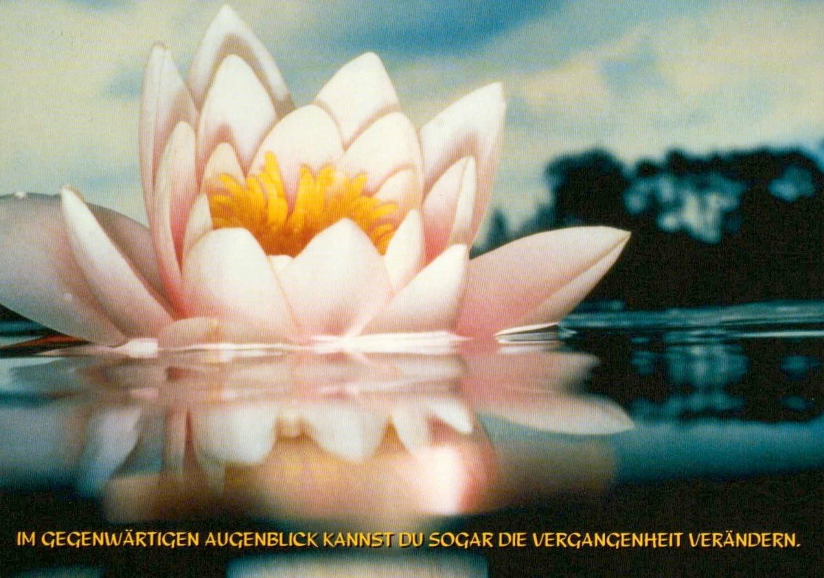 Geburtstagskarte mit Weisheitssprüchen - Seerose & Wasser Design, Besinnliche Postkarte über Moment, Gegenwart & Veränderung, Naturmotiv für Ruhe und Entspannung - Reflection Lotus, 1 Stück