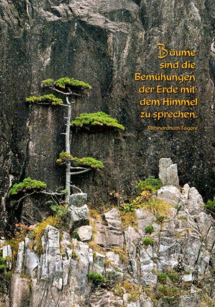 Geburtstagskarte Natur - Inspirierende Postkarte mit Tagore Zitat, Felsen & Bäumen - Motivation & Hoffnung, Robuste Landschaft