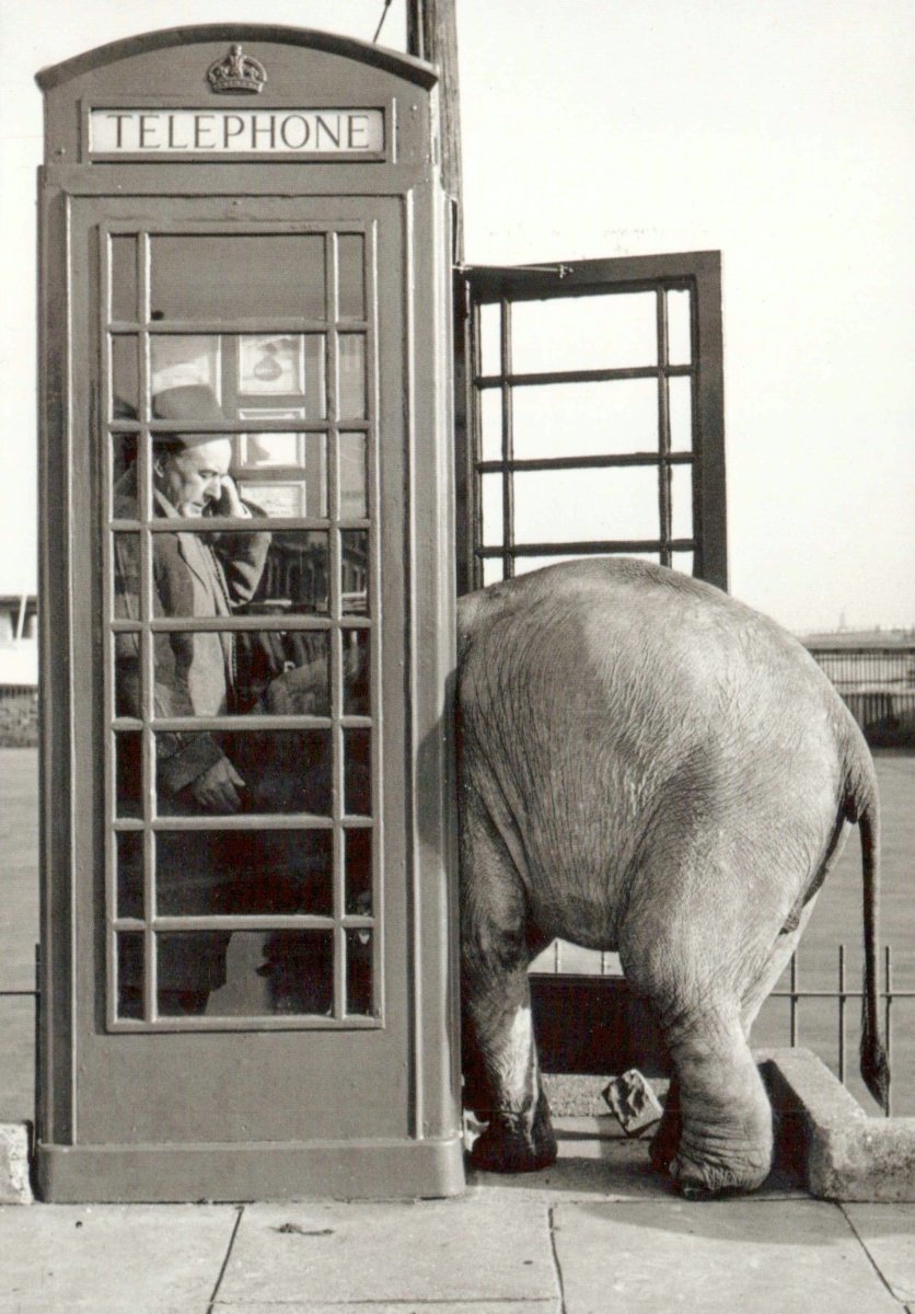 Geburtstagskarte Nostalgie Retro - Humorvolle Schwarzweiß Postkarte mit Telefonzelle & Elefant, Vintage Deko - Geschenk, Tierisch Witzige Blanko Sammelkarte, Originell & Skurril - Ideal für Sammler & Einrichtung