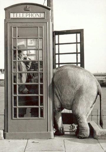 Geburtstagskarte Nostalgie Retro - Humorvolle Schwarzweiß Postkarte mit Telefonzelle & Elefant, Vintage Deko - Geschenk, Tierisch Witzige Blanko Sammelkarte, Originell & Skurril - Ideal für Sammler & Einrichtung
