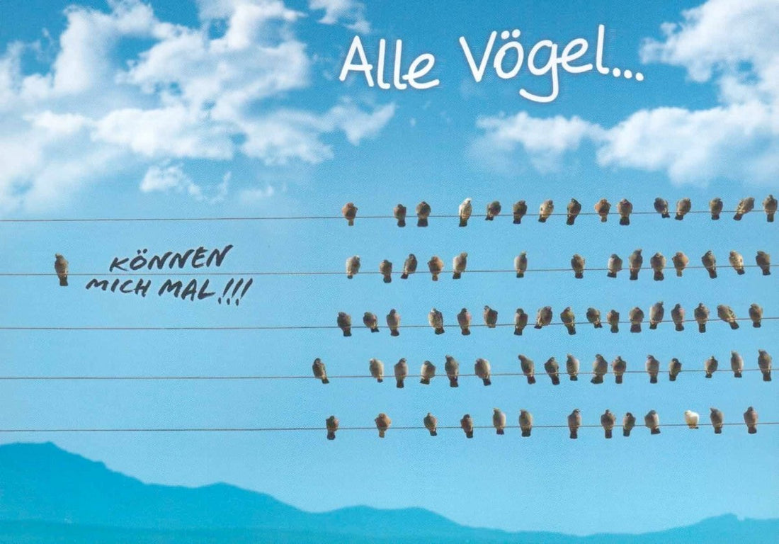 Geburtstagskarte Postkarte Lustig - Vögel auf Stromleitung mit Spruch, Humorvoller Himmel & Wolken Design, Ironisch Witzige Scherz - Grußkarte, Freche Satirische Spaßgeschenk für Freunde, Origineller Spaßvogel Gruss