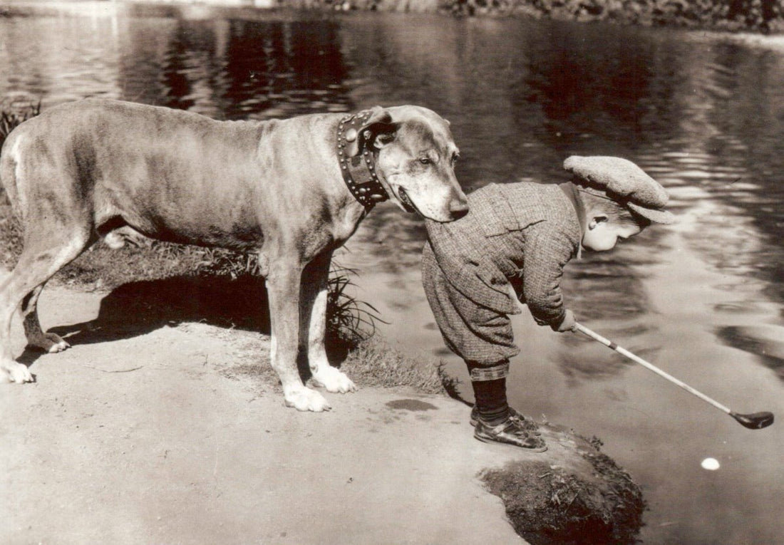 Geburtstagskarte Retro Hund Golfspieler - Schwarz - Weiß Vintage Humor Postkarte für Tierliebhaber, Nostalgie Sammler & Fotografie Fans - Dekorative Blankokarte Ideal als Geschenk