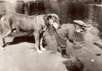 Geburtstagskarte Retro Hund Golfspieler - Schwarz - Weiß Vintage Humor Postkarte für Tierliebhaber, Nostalgie Sammler & Fotografie Fans - Dekorative Blankokarte Ideal als Geschenk