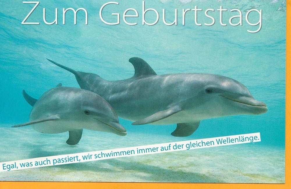 Geburtstagskarte Spruch Freundschaft egal was passiert