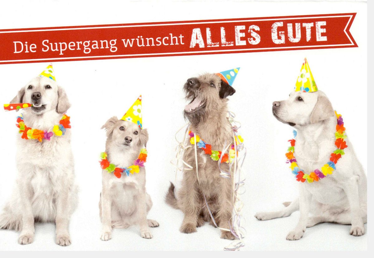 Geburtstagskarte Tiere Supergang: Lustige Hunde mit Partyhüten, Tierische Freunde Glückwünsche - Happy Birthday Grußkarte, Hundebilder Feier Karten mit Tieren
