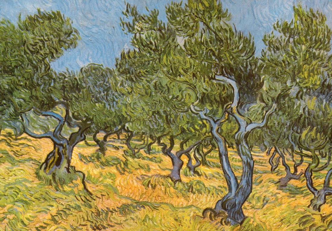 Geburtstagskarte - Van Gogh Olivenhain Kunstkarte, Blanko Postkarte mit Impressionismus Ölgemälde, Natur Bäume in Grün und Gelb, Landschaft Kunst Malerei, Vintage Sammlerstück & Dekoration Geschenk, Hochwertiger Kunstdruck