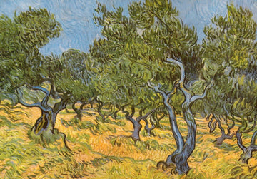 Geburtstagskarte - Van Gogh Olivenhain Kunstkarte, Blanko Postkarte mit Impressionismus Ölgemälde, Natur Bäume in Grün und Gelb, Landschaft Kunst Malerei, Vintage Sammlerstück & Dekoration Geschenk, Hochwertiger Kunstdruck