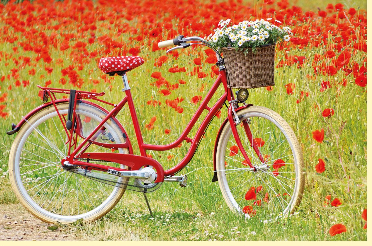 Geburtstagskarte/Doppelkarte – Sommerliche Fotogrußkarte mit Mohnwiese & Fahrrad, Natur - & Blumenfeld - Motiv, Landidylle & Entspannung, Ideal für Radtouren - Liebhaber, Unisex Blankokarte für Erwachsene in Rot & Grün