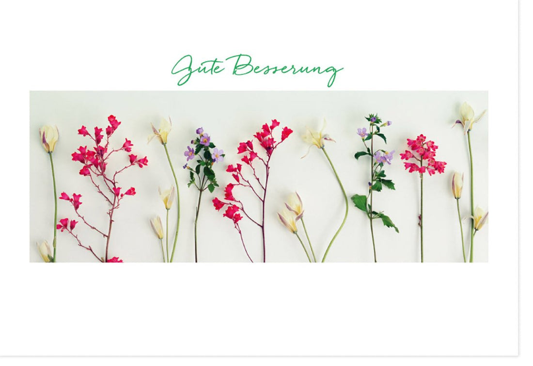 Genesungskarte für Gute Besserung - Blumenkarte mit Erholungswünschen, Aufmunterung & Hoffnung - Geschenk voller Mitgefühl zur Gesundheit und Genesung, 210x148mm Doppelkarte