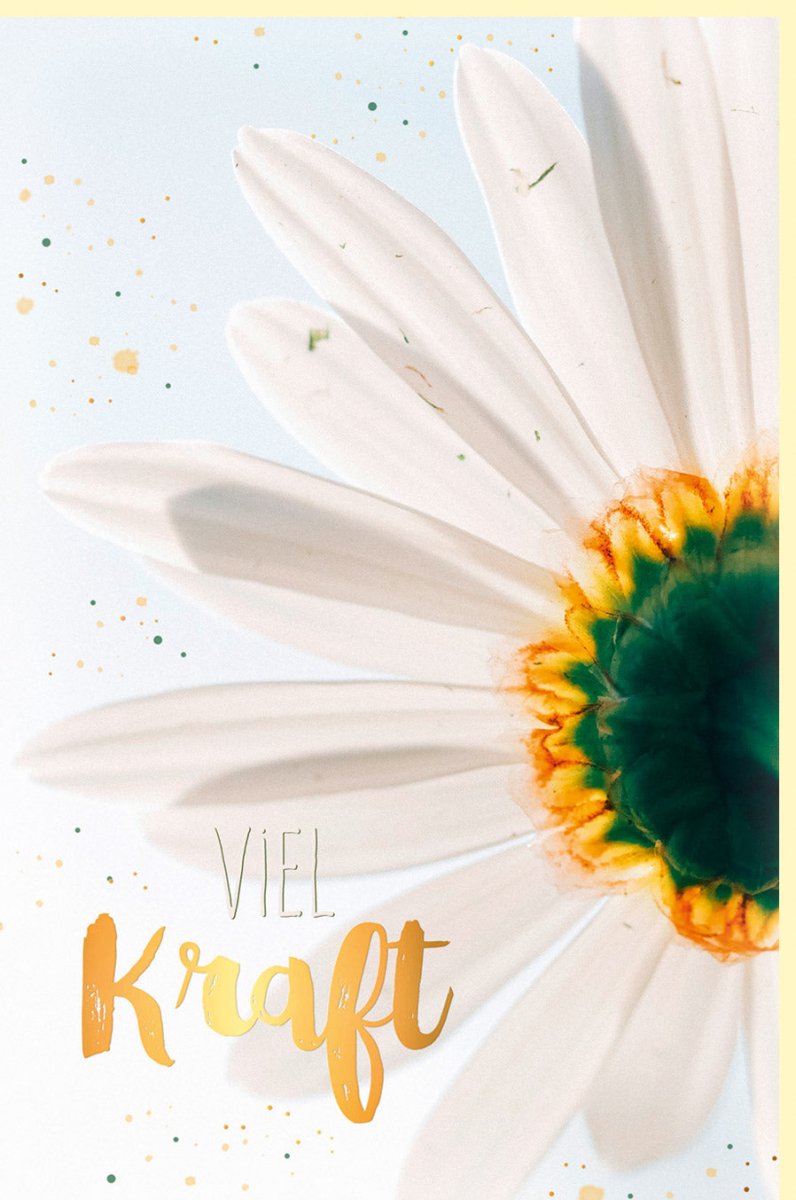 Genesungskarte mit Blumenmotiv und Goldfolie – Elegante Besserungswünsche für Erwachsene, Frauen – Aufmunternde Grußkarte zur Erholung und Heilung, Weiß/Gold – Ausdruck von Hoffnung, Kraft und Wohlbefinden