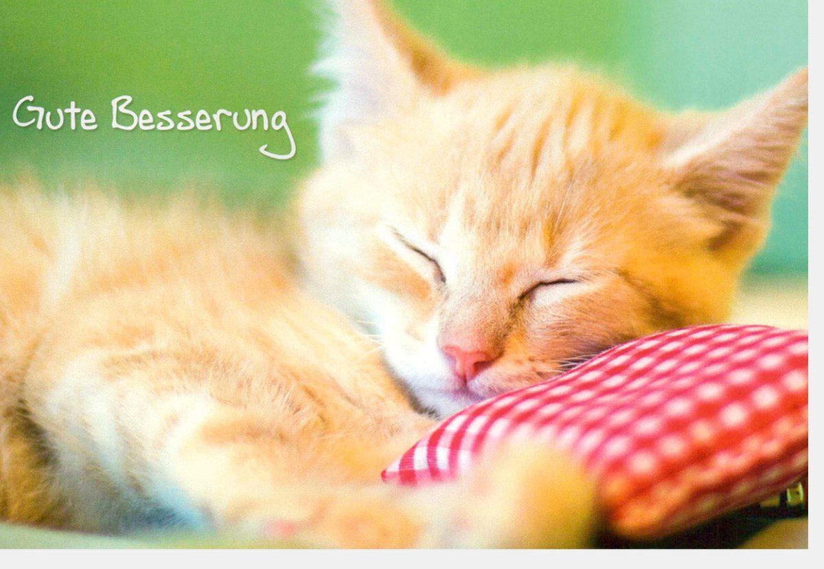 Genesungskarte mit niedlichem Katzenmotiv - Schlafende Katze für Gute Besserung, Erholung & Aufmunterung - Liebevolle Tiermotiv Doppelkarte zur Genesung mit Wünschen für Ruhe & Wohlbefinden, 210x148mm