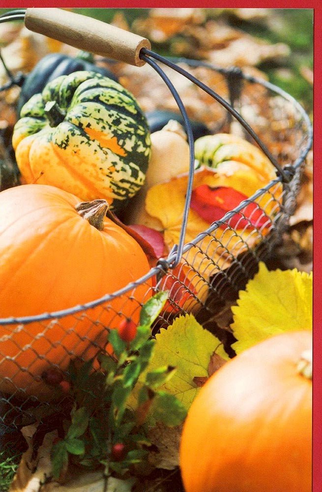 Grußkarte Kürbisse Motiv Herbst kein Text