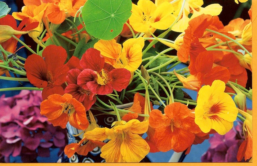 Grußkarte ohne Text Blumen rot gelb orange