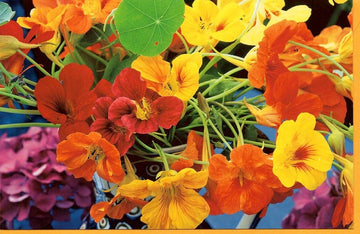 Grußkarte ohne Text Blumen rot gelb orange