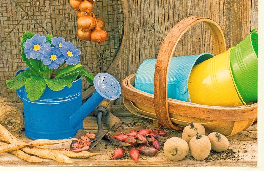 Grußkarte ohne Text Motiv Gießkanne blau Eimer Garten