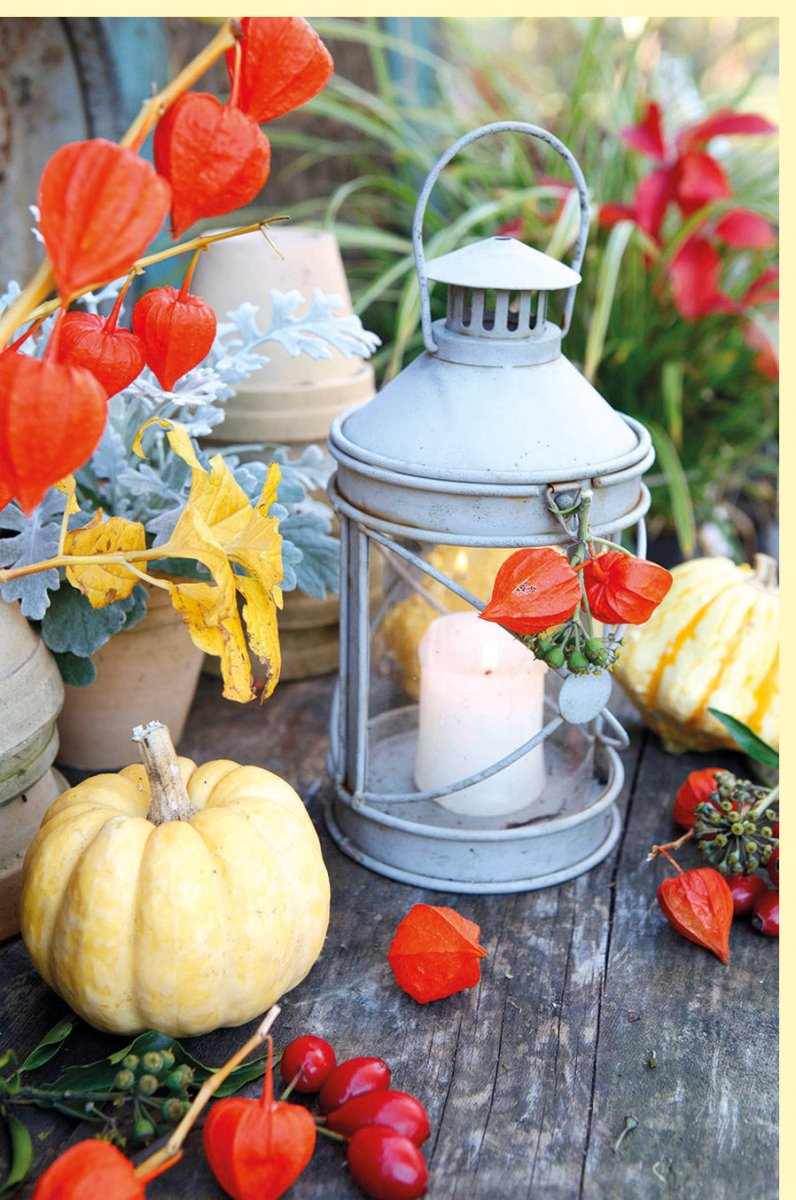 Herbstgruß Doppelkarte mit Kürbis & Laterne Motiv - Blanko Fotogrußkarte in Herbstfarben, Natur Blumenkarte für Erntedankfest, Oktoberfest & Jahreszeitenwechsel - Orange Gelb Hagebutten Lampionblumen Dekoration