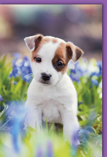 Hochzeitskarten Glückwunschkarten Hochzeit Doppelkarte mit süßem Welpenmotiv im Blumenfeld ideal für Hochzeiten und besondere Anlässe mit Umschlag
