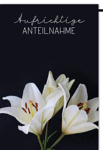 Kondolenzkarte Beileidskarte Trauerkarte Aufrichtige Anteilnahme mit weißen Lilien und schwarzem Hintergrund stilvolle Karte für Trauerfälle und Beileidsbekundungen mit Umschlag