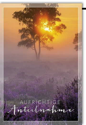 Kondolenzkarte Beileidskarte Trauerkarte Aufrichtige Anteilnahme Motiv Sonnenuntergang Baum lila Blumen Wiese mit Umschlag