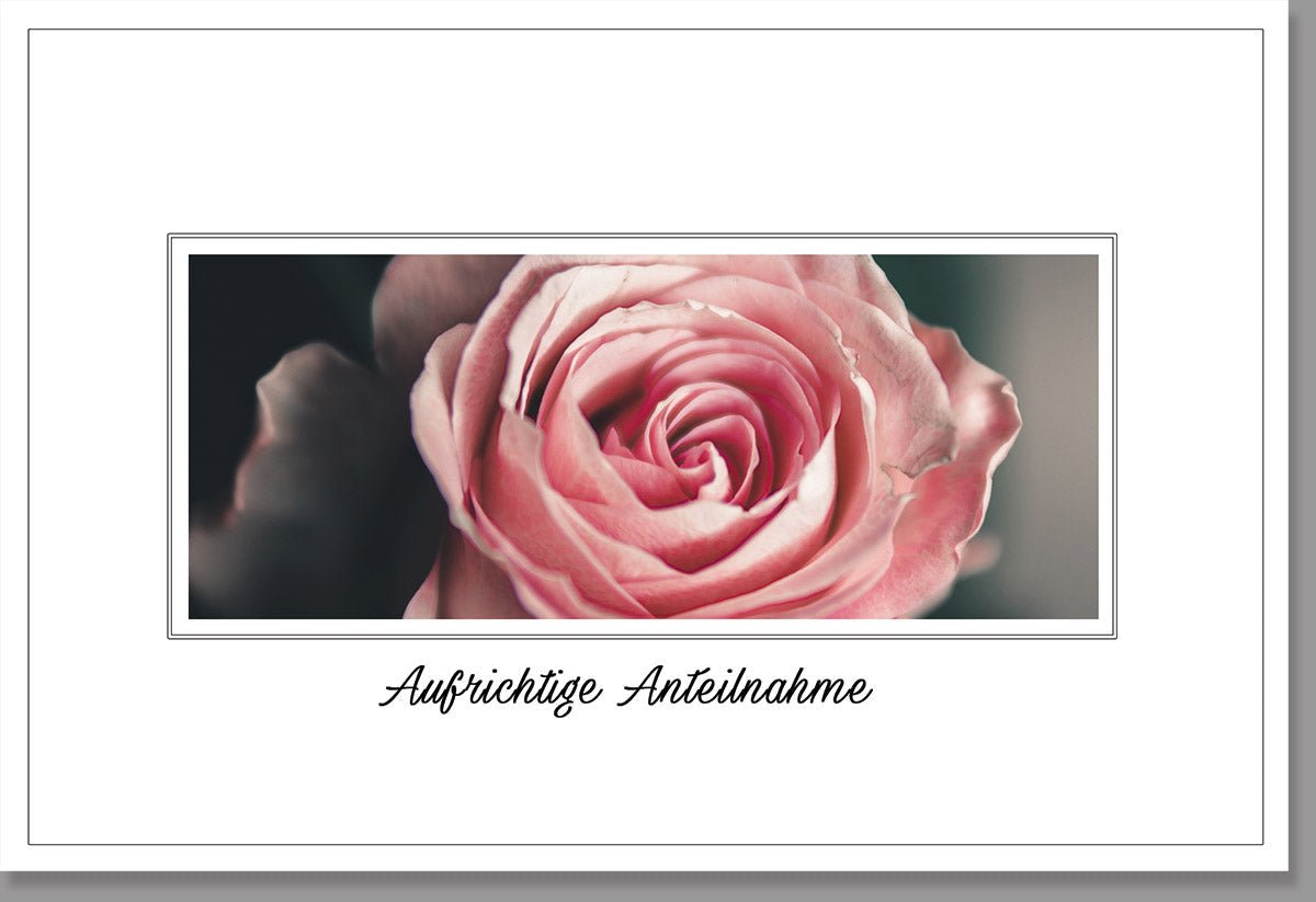 Kondolenzkarte Beileidskarte Trauerkarte mit Rose und Aufschrift Aufrichtige Anteilnahme stilvolle Karte für Trauerfälle hochwertige Verarbeitung mit Umschlag