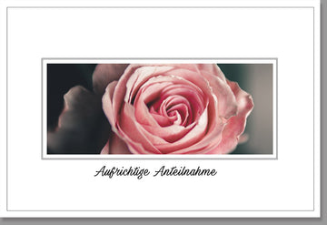 Kondolenzkarte Beileidskarte Trauerkarte mit Rose und Aufschrift Aufrichtige Anteilnahme stilvolle Karte für Trauerfälle hochwertige Verarbeitung mit Umschlag
