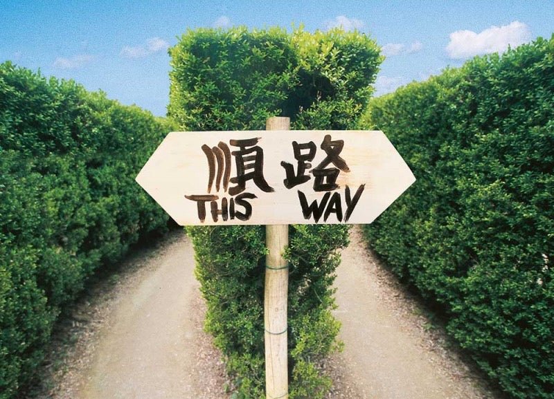 Motivations - Postkarte: Wegweiser in der Natur – Entscheidungspfade, Himmelsblick, Bäume & Kreuzung – Inspirierende Blanko - Karte in Grün & Blau