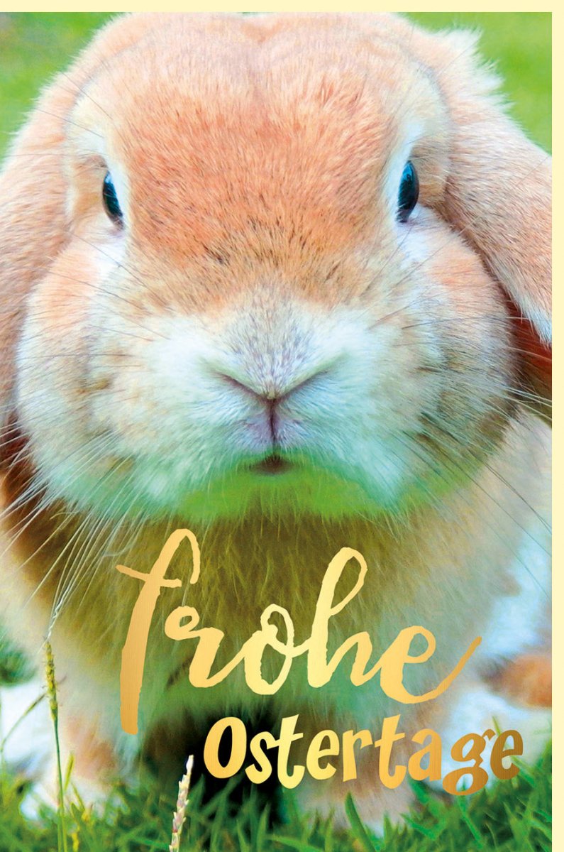 Osterkarte mit Goldfolie Hase - Frühlingsfest Ostergrußkarte für Familie & Freunde, Traditionelles Osternest Motiv
