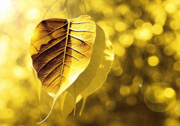 Postkarte blanko Natur Bodhi - Gold