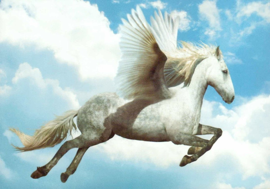 Postkarte blanko: Pegasus