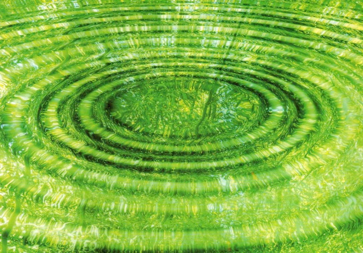 Postkarte blanko;Postkarte Blumen: Bamboo - Zen