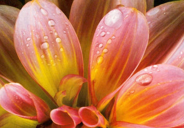 Postkarte Blumen: Dahlie