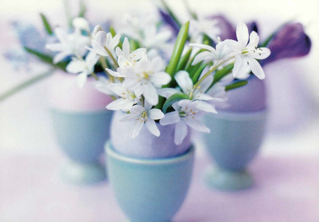 Postkarte Blumen: Johner Bildbyra