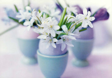 Postkarte Blumen: Johner Bildbyra