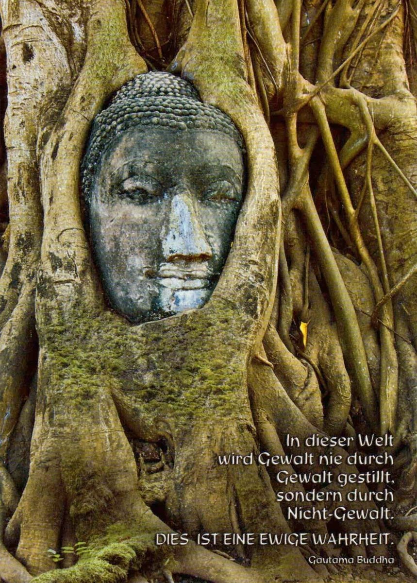 Postkarte spirituell: Der Buddha und der Baum