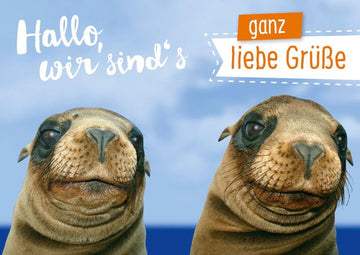 Postkarte Sprüche Hallo wir sind´s Ganz Liebe Grüße