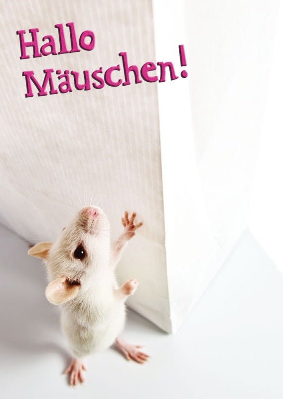 Postkarte Tiere: Hallo Mäuschen!