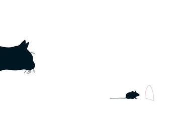 Postkarte witzig Cityproducts Katz & Maus